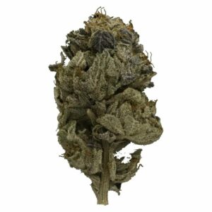 Ganja Express Canada - Pink Gas Strain | Ganja Express Canada