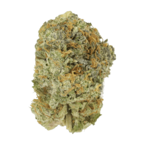 Slurricane | Ganja Express Canada