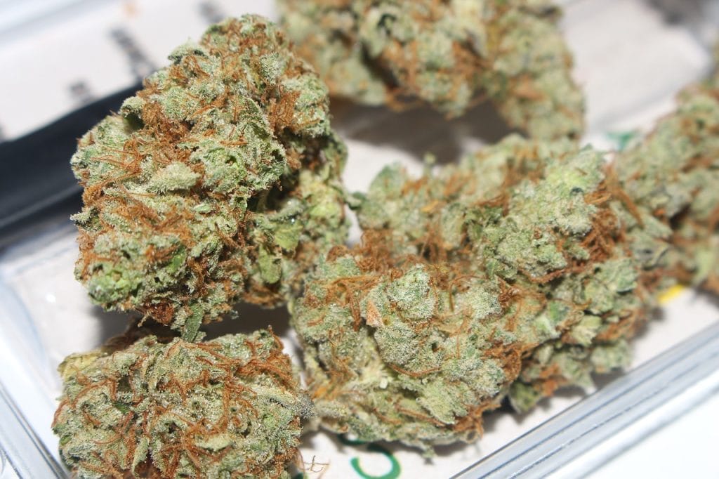 Hybrid cannabis Strains | Ganja Express Canada