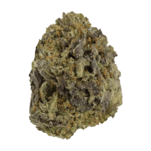 Snow Leopard | Ganja Express Canada