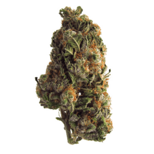 Grape Crush | Ganja Express Canada