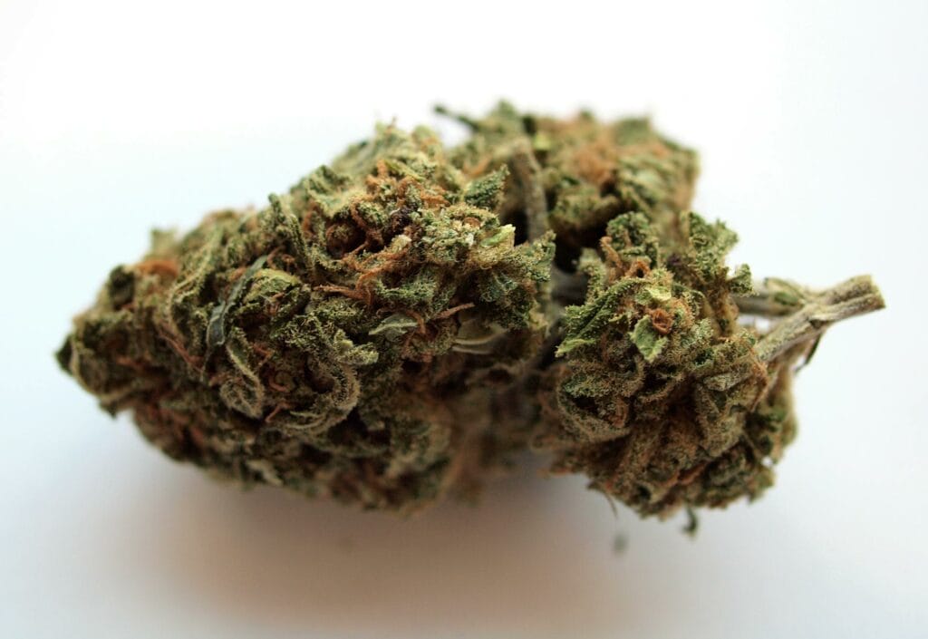 Buy cannabis online | Ganja Express Canada