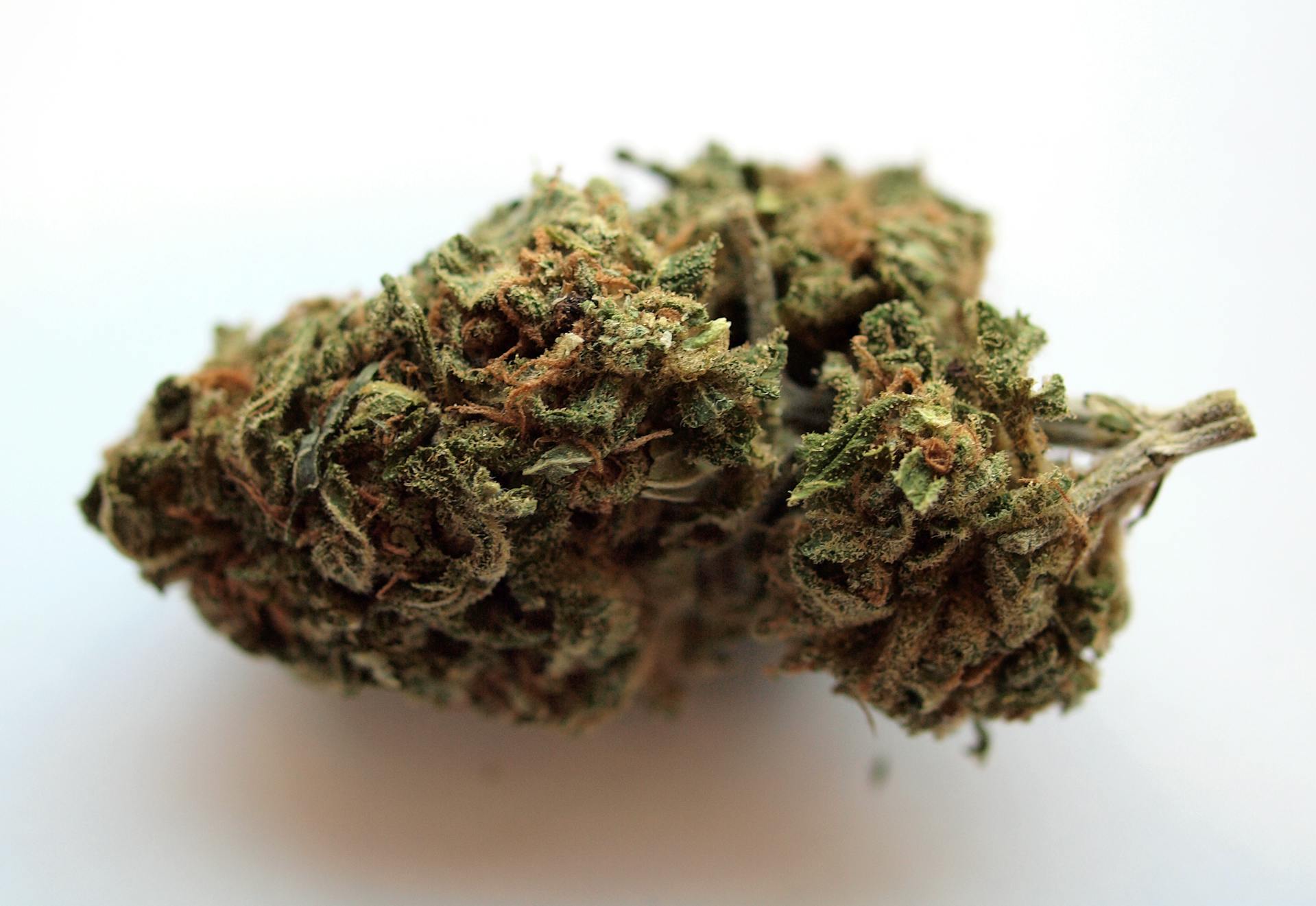 Buy cannabis online | Ganja Express Canada