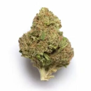 Supersonic | Ganja Express Canada